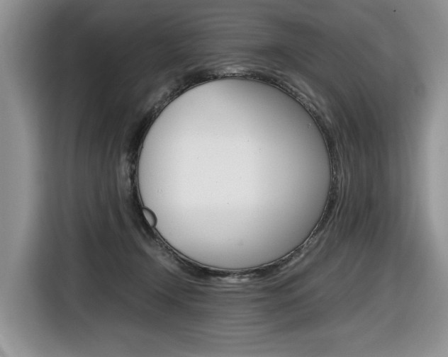 X0000116680366200912141010