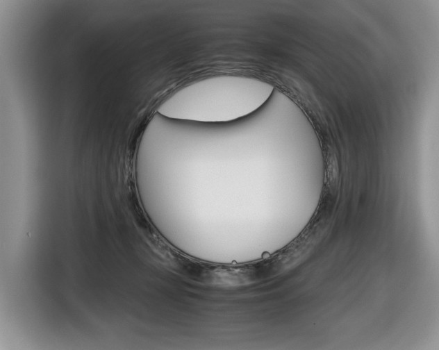 X0000116680367200912141010