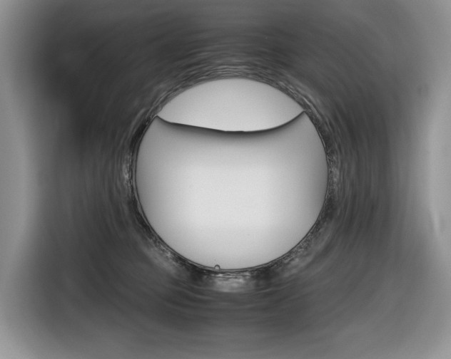 X0000116680373200912141010