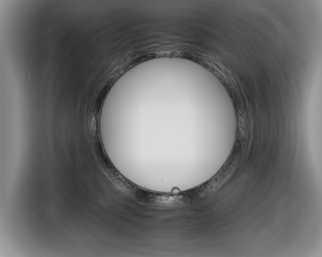 X0000116680375200912141010