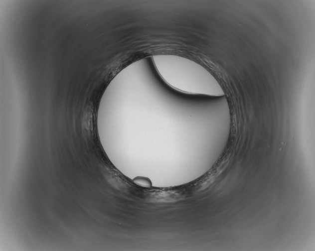 X0000116680379200912141010