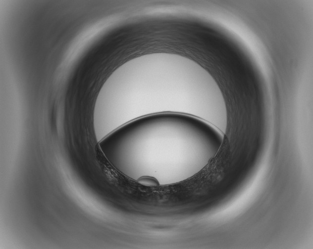 X0000116680382200912141010