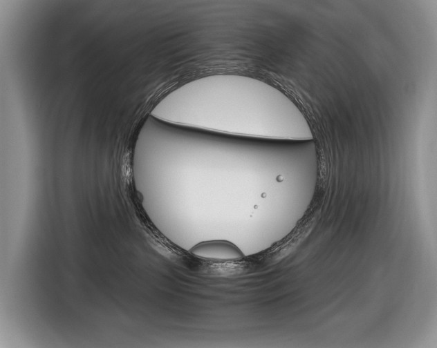 X0000116680383200912141010
