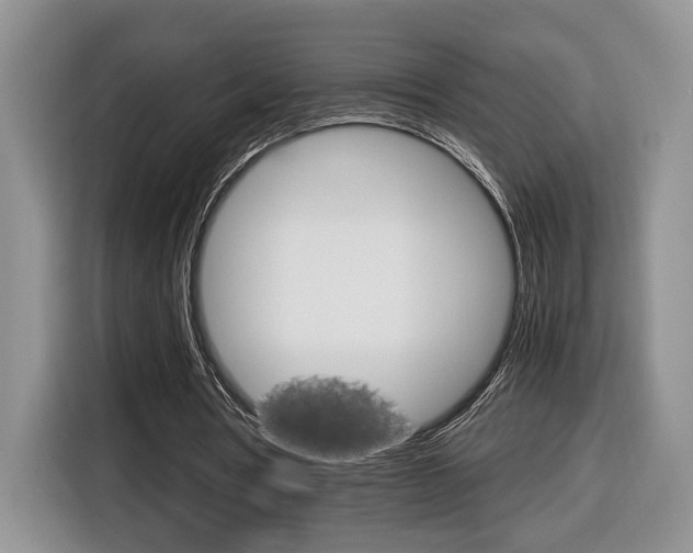 X0000116680386200912141009