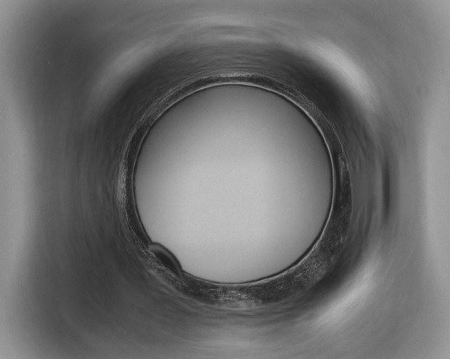 X0000116680387200912141009