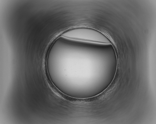 X0000116680389200912141009
