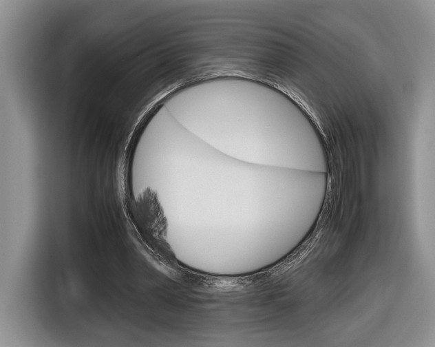 X0000116680390200912141009