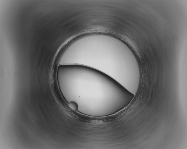 X0000116680392200912141009