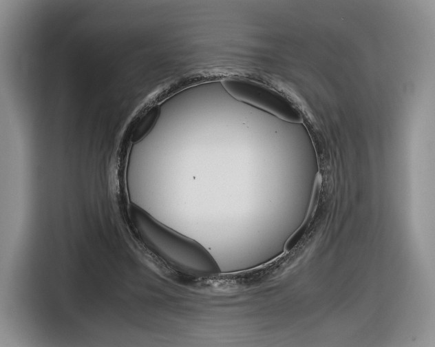 X0000116680395200912141009