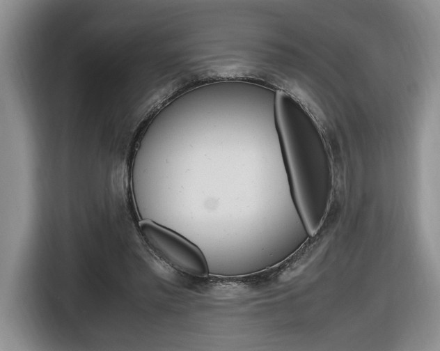 X0000116680397200912141009