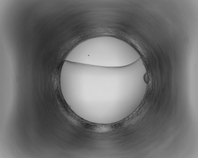 X0000116680402200912141009
