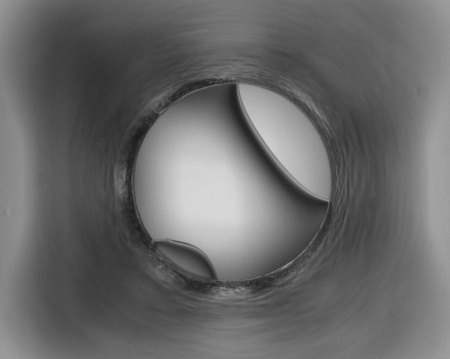 X0000116680403200912141009
