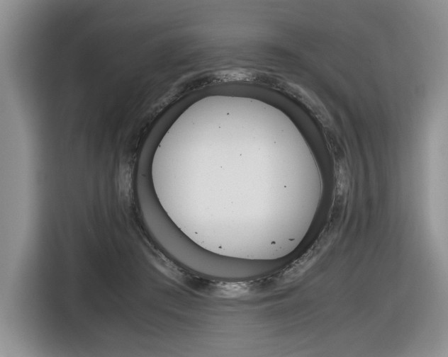 X0000116680409200912141009