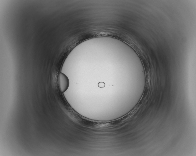 X0000116680410200912141009