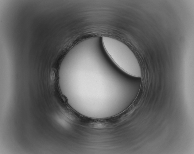 X0000116680412200912141009