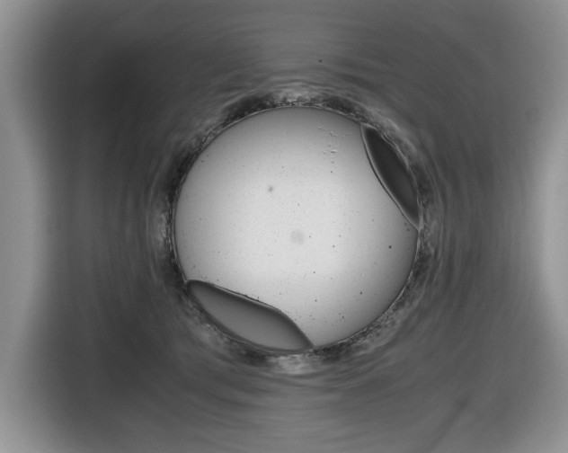 X0000116680417200912141009
