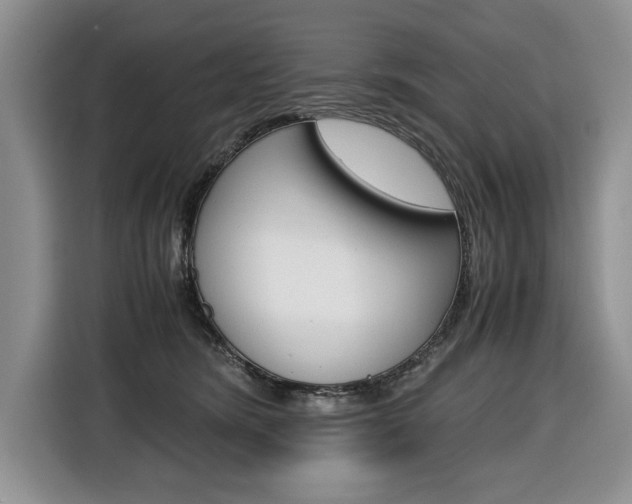 X0000116680420200912141009