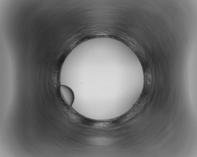 X0000116680422200912141009