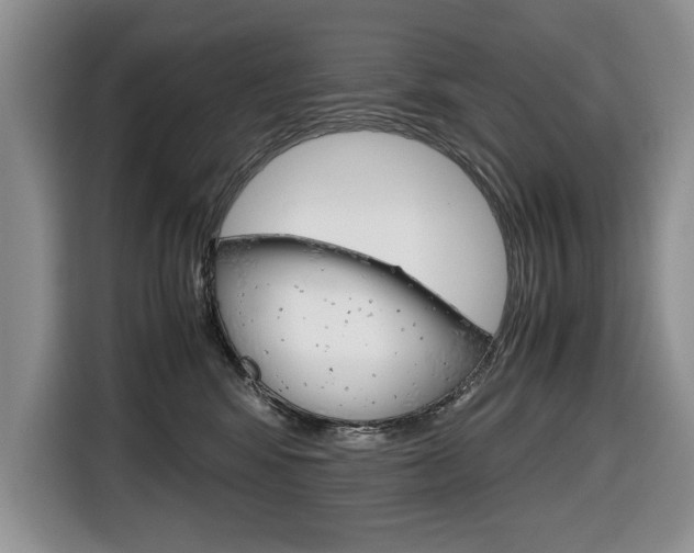 X0000116680424200912141009