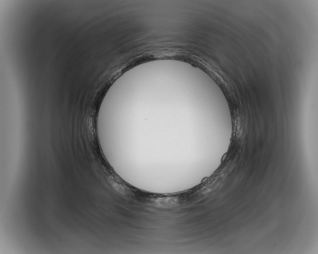 X0000116680426200912141009