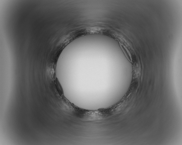 X0000116680427200912141009