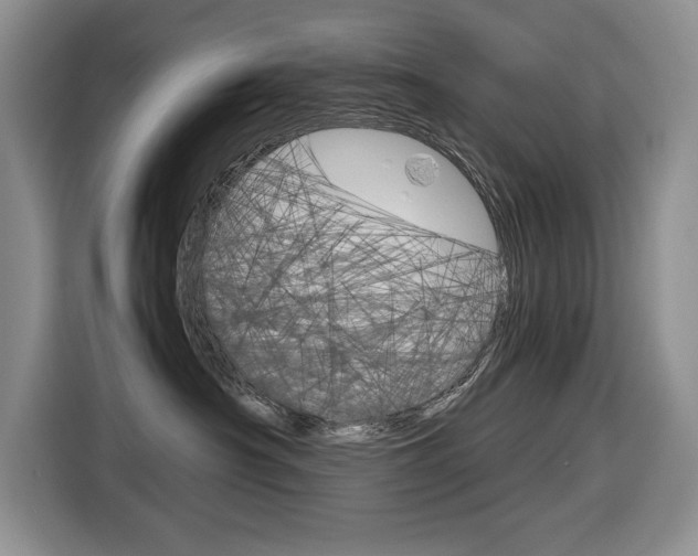 X0000116680430200912141009