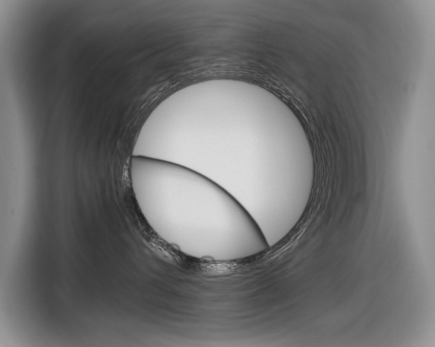 X0000116680432200912141009