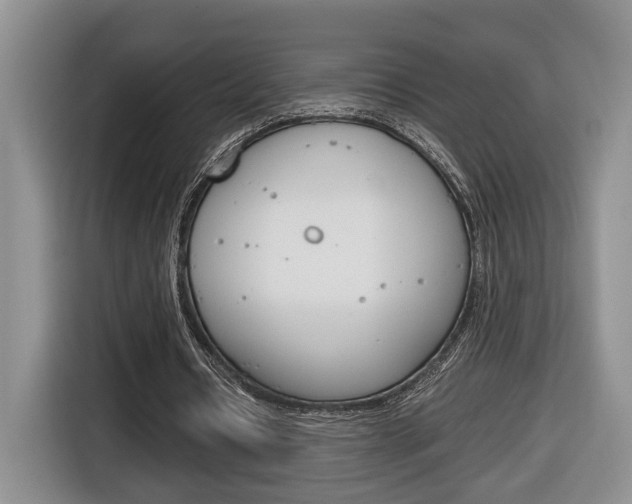 X0000116680434200912141008