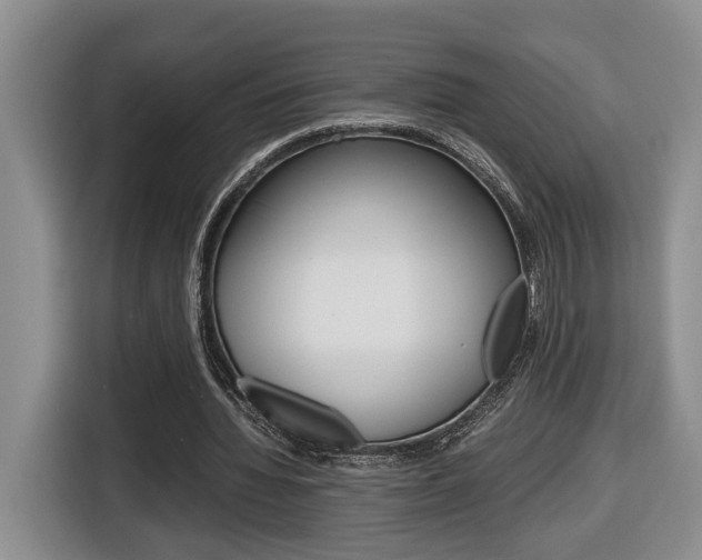 X0000116680436200912141008