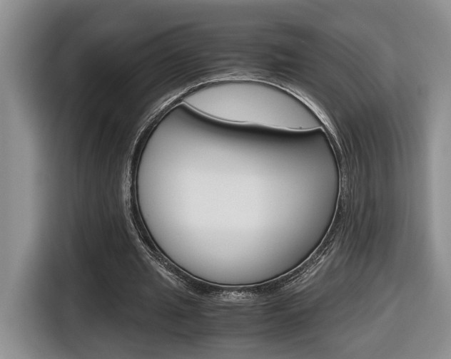 X0000116680437200912141008