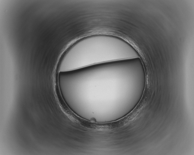 X0000116680438200912141008