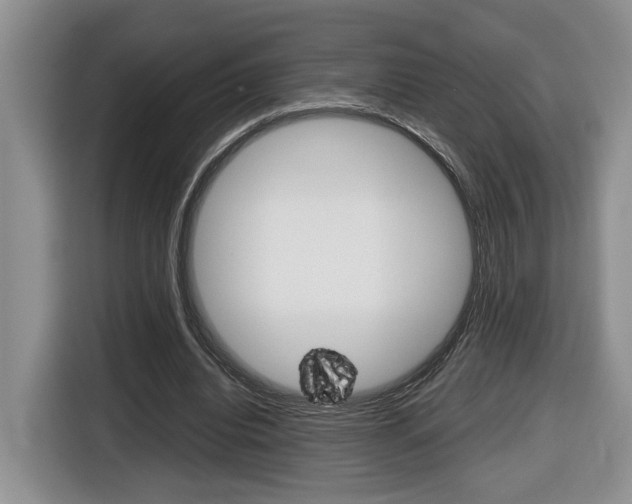 X0000116680440200912141008