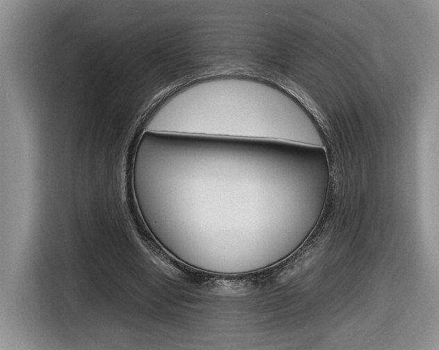 X0000116680442200912141008