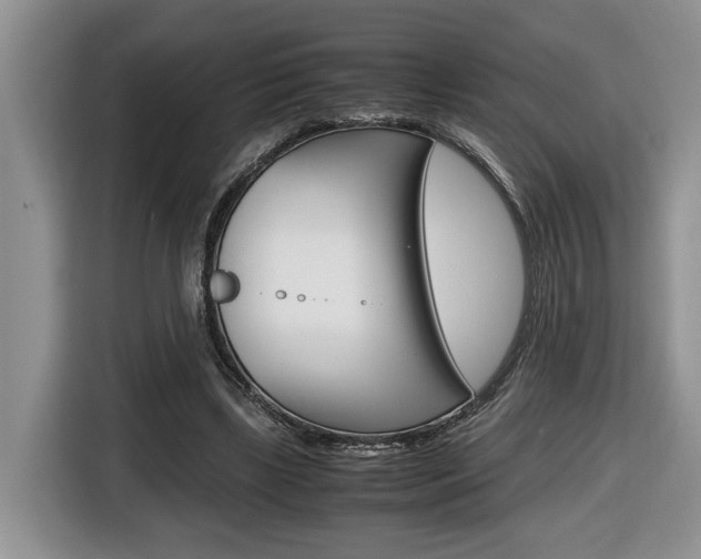 X0000116680443200912141008