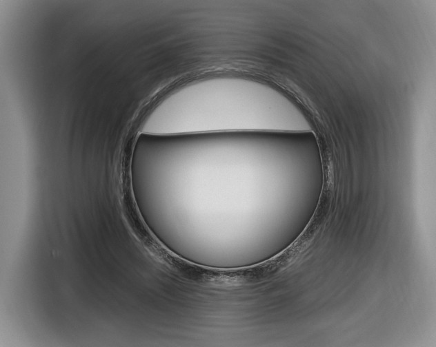 X0000116680444200912141008