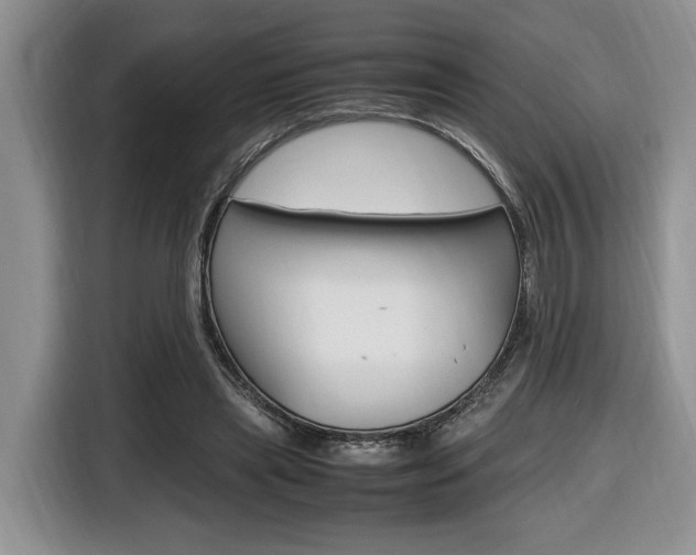 X0000116680445200912141008
