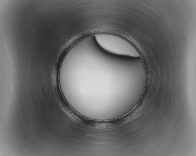 X0000116680446200912141008