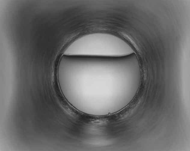 X0000116680447200912141008