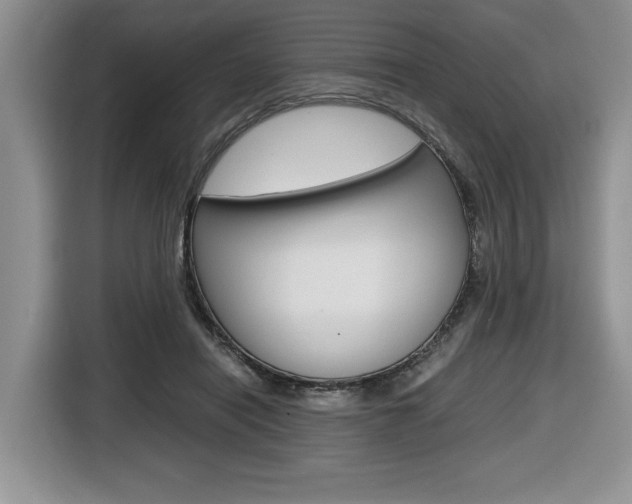 X0000116680454200912141009