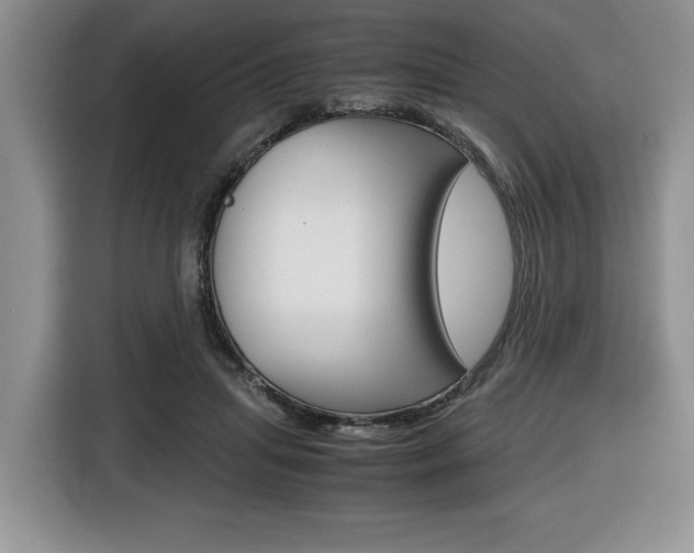X0000116680455200912141009