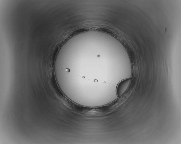 X0000116680460200912141009