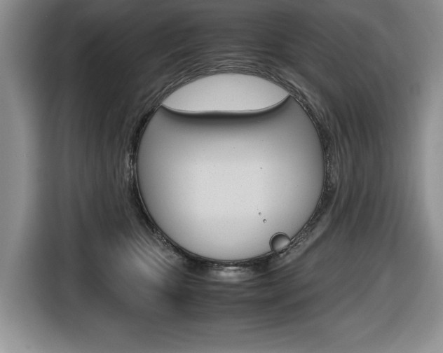 X0000116680467200912141009