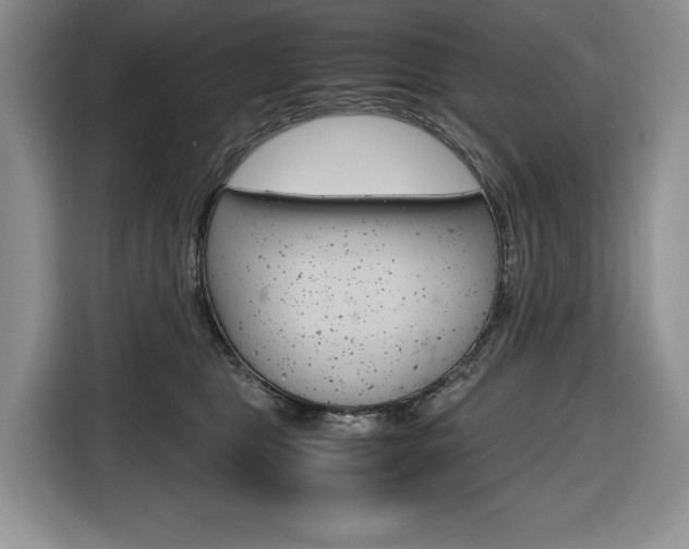 X0000116680469200912141009