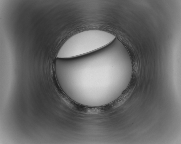 X0000116680470200912141009