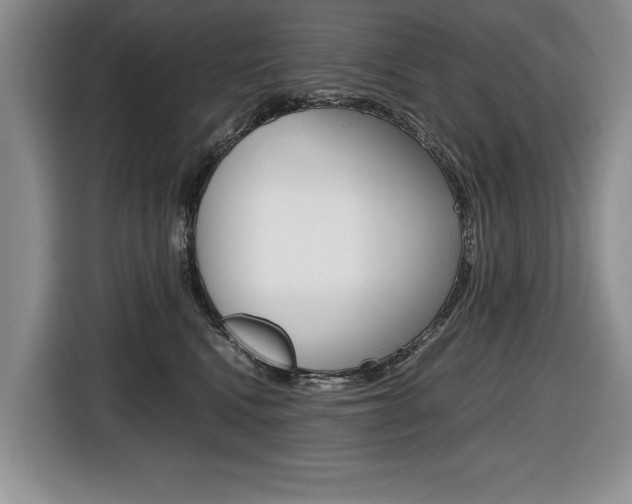 X0000116680472200912141009