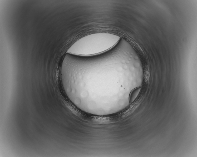 X0000116680476200912141009