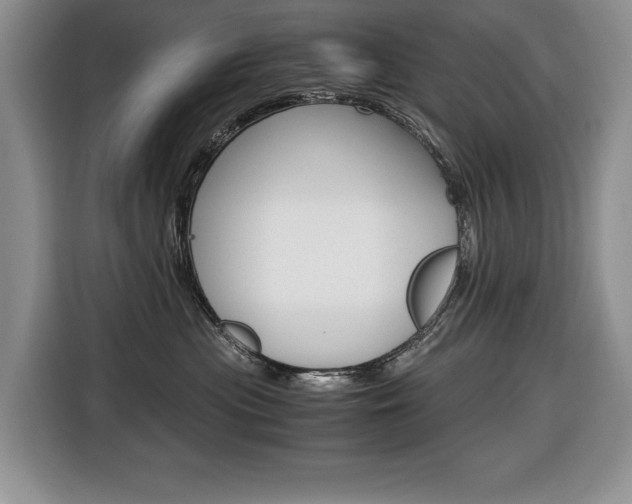 X0000116680477200912141009