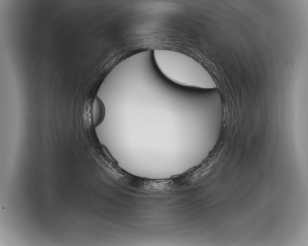 X0000116680479200912141009