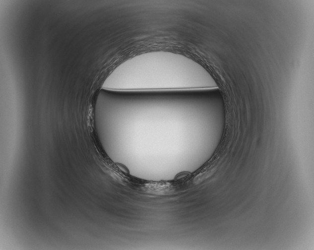X0000116680480200912141009