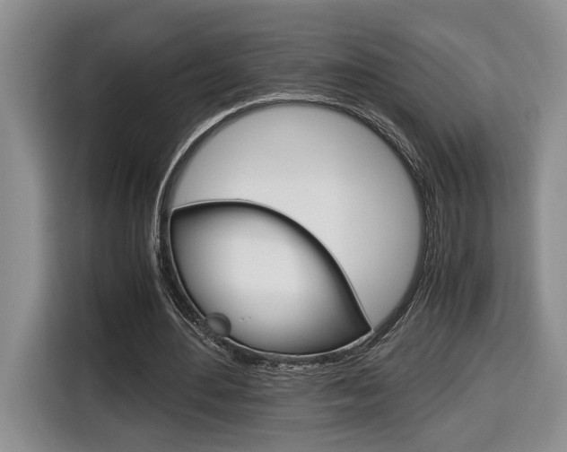 X0000116680484200912141008